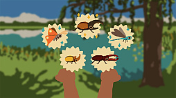 Kabuto Park カブトパーク