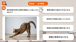猫様に選ばれるための1000問ー猫様に見捨てられないための試験ー