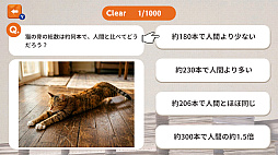 猫様に選ばれるための1000問ー猫様に見捨てられないための試験ー
