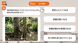 猫様に選ばれるための1000問ー猫様に見捨てられないための試験ー