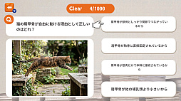猫様に選ばれるための1000問ー猫様に見捨てられないための試験ー