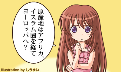 原産地はアフリカ，イスラム圏を経てヨーロッパへ？