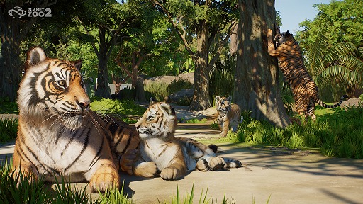 画像ギャラリー No.001のサムネイル画像 / 動物園経営シムの続編「Planet Zoo 2」が10月13日発売へ。水棲生物と飛行生物の追加，野生生物保護区の修復など新要素が盛りだくさん