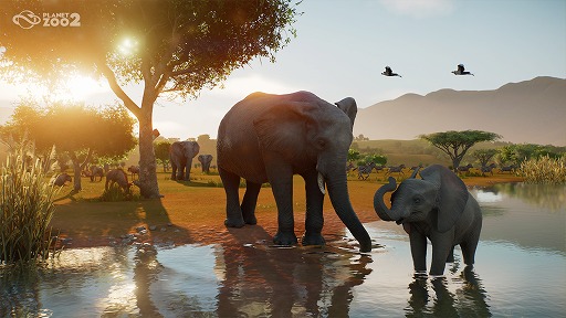 画像ギャラリー No.005のサムネイル画像 / 動物園経営シムの続編「Planet Zoo 2」が10月13日発売へ。水棲生物と飛行生物の追加，野生生物保護区の修復など新要素が盛りだくさん