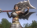 「信長の野望 Online」有料オプションサービス「@モバイル＋@Web SP版」のサービスが開始に