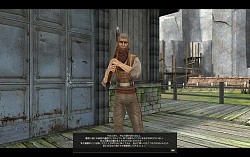画像ギャラリー No.011のサムネイル画像 / インスタンス形式のボス実装! 新大陸のさらなる謎に迫る「グラナド・エスパダ」大型アップデート「アルセンサーカス到来」先行体験レポート