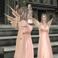 画像ギャラリー No.027のサムネイル画像 / 【PR】1日18時間のゲーム内サポート,いきなりカンストもOK! “オンラインゲーム未完成の領域に挑む”「グラナド・エスパダ」リニューアルレポート