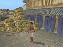 画像ギャラリー No.051のサムネイル画像 / コーエー，「大航海時代 Online 〜El Oriente〜」の「プレス向け先行試遊会」を実施