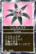 画像ギャラリー No.008のサムネイル画像 / 「競馬伝説Live！」，ホワイトチョコでバレンタインデーのお返しを