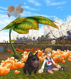 画像ギャラリー No.002のサムネイル画像 / 「フリフ」,ペット「アミナスワンワン」が当たるボックスアイテム登場