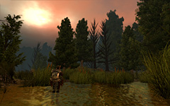 画像ギャラリー No.004のサムネイル画像 / ［E3 2008＃22］発表から4年。BioWareの新作RPG「Dragon Age：Origins」が見えてきた