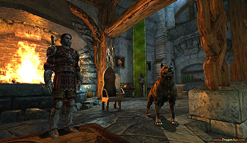 画像ギャラリー No.001のサムネイル画像 / BioWare,「Dragon Age:Origins」にはオンライン認証システムを採用せず