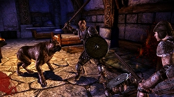 画像ギャラリー No.011のサムネイル画像 / ［Gamescom］自由度が高いとはこういうことだ！　EA，「Dragon Age: Origins」のゲーム世界を説明するセッションを開催