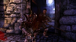 画像ギャラリー No.012のサムネイル画像 / ［Gamescom］自由度が高いとはこういうことだ！　EA，「Dragon Age: Origins」のゲーム世界を説明するセッションを開催
