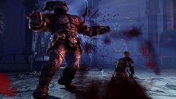 画像ギャラリー No.017のサムネイル画像 / ［Gamescom］自由度が高いとはこういうことだ！　EA，「Dragon Age: Origins」のゲーム世界を説明するセッションを開催