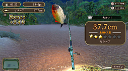 釣って！世界の魚つり