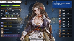 聖女戦旗 Banner of the Maid