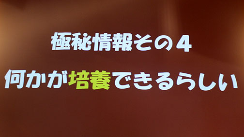 画像ギャラリー No.017のサムネイル画像 / ［TGS 2010］「真・女神転生IMAGINE」次期大型アップデート“イケブクロ中華街”情報公開。しかもその次は“人魔合体”だと……？