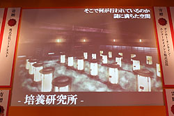 画像ギャラリー No.019のサムネイル画像 / ［TGS 2010］「真・女神転生IMAGINE」次期大型アップデート“イケブクロ中華街”情報公開。しかもその次は“人魔合体”だと……？