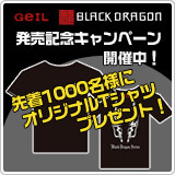 画像ギャラリー No.002のサムネイル画像 / GeILのゲーマー向けメモリモジュール購入で先着1000名に特典が