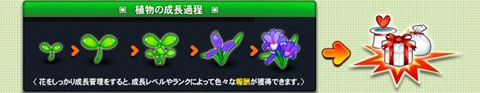 画像ギャラリー No.003のサムネイル画像 / 「X-BEAT」，「カップルガーデン」を実装。2人で協力して植物を育てよう
