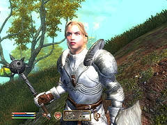 画像ギャラリー No.023のサムネイル画像 / 「Oblivion」に「Fallout 3」,聞きたいことが山ほどあるBethesdaにインタビュー