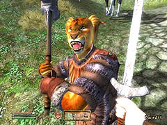 画像ギャラリー No.026のサムネイル画像 / 「Oblivion」に「Fallout 3」,聞きたいことが山ほどあるBethesdaにインタビュー