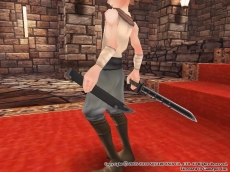 画像ギャラリー No.023のサムネイル画像 / 「FEZ」，3DSソフト「BRAVELY DEFAULT」とのコラボが本日開始。登場キャラの各ボイスチケットや，“ジョブ”の見ためをモチーフにした防具などが実装