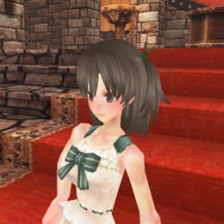 画像ギャラリー No.031のサムネイル画像 / 「ファンタジーアース ゼロ」，動物フード付き防具の夏服バージョンが登場