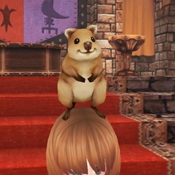 画像ギャラリー No.011のサムネイル画像 / 「ファンタジーアース ゼロ」，新旧アクセサリが登場する「アクセサリルーレット」を開始