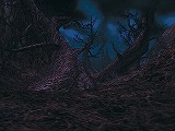 信長の野望 Online 〜飛龍の章〜