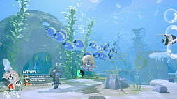 Splash Divers
