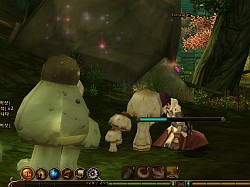 画像ギャラリー No.046のサムネイル画像 / 「RAGNAROK Online 2」わくわくプロンテラ観光記。韓国第2次CBTで，3Dグラフィックスで再現されたRO世界を旅してみた