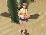 画像ギャラリー No.029のサムネイル画像 / 「ベルアイル」新規に作成したキャラクター全員に「水着」をプレゼント