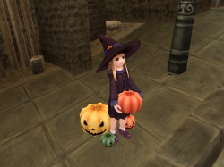 画像ギャラリー No.002のサムネイル画像 / 「ベルアイル」，NPC「カボチャ商人」からハロウィン装備をもらおう