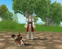 画像ギャラリー No.004のサムネイル画像 / 「SiLKROAD ONLINE」「Fantasy Odyssey」で116種類の新スキル,4種類の新ペットなどが実装