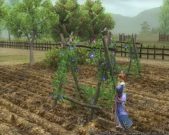 画像ギャラリー No.004のサムネイル画像 / 「三國志 Online」，あの“桃園の誓い”がモチーフのイベント開催