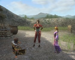 画像ギャラリー No.004のサムネイル画像 / 「三國志 Online」仲間と楽しいときを過ごす「中秋節」イベント開催