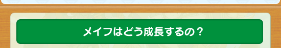 メイフはどう成長するの?