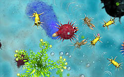 画像ギャラリー No.021のサムネイル画像 / 「SPORE」，生命進化の妙が見られるムービー3本を4Gamerに掲載