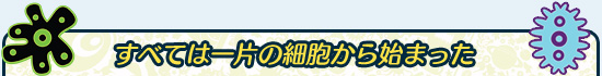 すべては一片の細胞から始まった