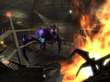 画像ギャラリー No.002のサムネイル画像 / 「HELLGATE」実装予定の新コンテンツ「PvPコンテンツ・アリーナ（仮）」のテストを開催中＆年末年始は獲得経験値が2倍