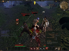 画像ギャラリー No.026のサムネイル画像 / 「Age of Conan:Hyborian Adventures」のPvP Beta Weekendを通じて感じた,本作の「野蛮な魅力」とは?
