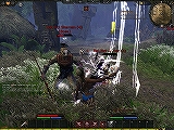 画像ギャラリー No.046のサムネイル画像 / 「Age of Conan:Hyborian Adventures」のPvP Beta Weekendを通じて感じた,本作の「野蛮な魅力」とは?