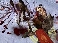 「Age of Conan」プレイレポートその2：興味深い戦闘システムと，Hyboria本土での冒険について紹介