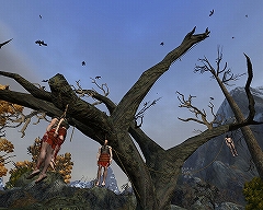 画像ギャラリー No.018のサムネイル画像 / 「Age of Conan」プレイレポートその4:MMORPGジャンルにおけるAoCの特徴と立ち位置。そして今後の課題について