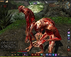 画像ギャラリー No.024のサムネイル画像 / 「Age of Conan」プレイレポートその4:MMORPGジャンルにおけるAoCの特徴と立ち位置。そして今後の課題について