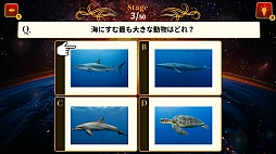常識力 全国頂上決戦ー真の常識王は誰だ!?ー