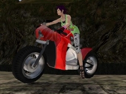 画像ギャラリー No.017のサムネイル画像 / 「RAN ONLINE」，バイク用の新カスタムパーツは性能の高さもウリ