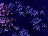 画像ギャラリー No.003のサムネイル画像 / レベル200の強敵が押し寄せてくる「混沌の洞窟」が，「ルニア戦記に」